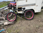 Freedom San Diego bike bicycle fat tires beach cruiser