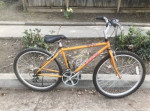 Small trek mountain bike