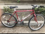 Medium mountain bikes