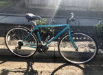 Medium mountain bikes