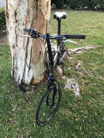 DAHON JETSTREAM 8-Speed & MAGURA HYDRAULIC RIM BRAKES