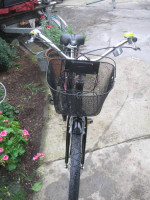 Giant Simple 7 WSD Step-thru16.5" frame 7-speed 26" tire beach cruiser