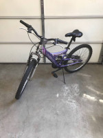 Next Mountain Bike