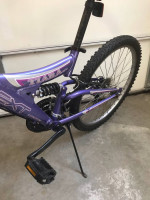 Next Mountain Bike