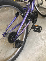 Next Mountain Bike