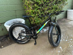 Specialized Fatboy 24 Kids Bike