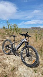 Electric bike