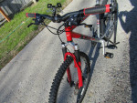 TREK MOUNTAIN BIKE