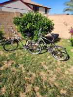 Wildwood Diamondback Mountain Bikes