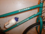 Schwinn Mirada