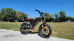 Electric Bike Billy Goat V1