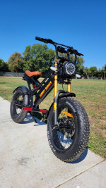 Electric Bike Billy Goat V1