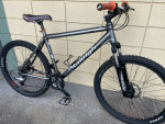 Raliegh mt bike