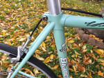 Bianchi  trofeo 53 cm