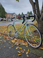 Bianchi  trofeo 53 cm