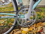 Bianchi  trofeo 53 cm