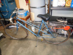 Vintage Women Peugeot Road Bikes for Riders: 5'7" and up