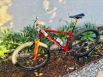 2021 Scott Scale HT RC Limited Edition - AXS/XTR 18.2 lbs