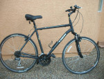 Trek Verve 3 - XL- near showroom new condition