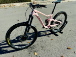 2023 Troy Carbon XT 12S - Large (Neapolitan) with upgrades