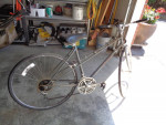 Nishiki Mixte/Women Road Bike For Riders: 5ft -5ft 5 Vintage Bike