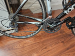 Tommaso  imola  53cm