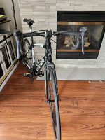 Tommaso  imola  53cm