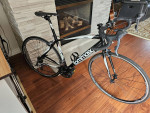 Tommaso  imola  53cm