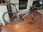 Tommaso  imola  53cm