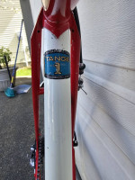 Centurion  Ironman   51cm