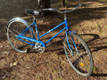 WOMAN'S COLUMBIA ROADSTER SINGLE SPEED VINTAGE BICYCLE CHROME FENDERS