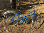 WOMAN'S COLUMBIA ROADSTER SINGLE SPEED VINTAGE BICYCLE CHROME FENDERS