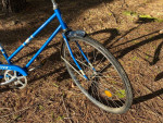 WOMAN'S COLUMBIA ROADSTER SINGLE SPEED VINTAGE BICYCLE CHROME FENDERS