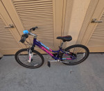 *Schwinn Ranger 24 Girls*