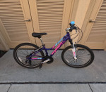*Schwinn Ranger 24 Girls*
