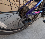 *Schwinn Ranger 24 Girls*