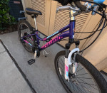 *Schwinn Ranger 24 Girls*