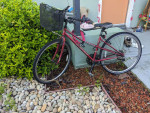 Women's Bike
