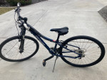 Specialized Ariel