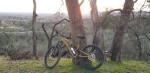 2023 Specialized Stumpjumper EVO Carbon Comp