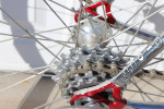 Vintage Ciocc 1984 Designer Series Steel Road Bike 57cm Campagnolo