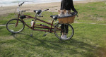 Sun Bicycles Retro Tandem 7 speed Beach Cruiser