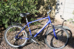 Diamondback Wildwood Citi Classic 19" Large Hybrid Comfort Bike