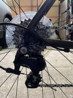 Cannondale 2019