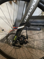 Cannondale 2019