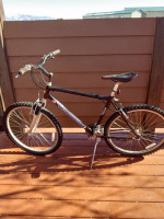 Diamondback Sorrento