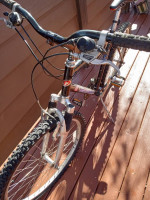 Diamondback Sorrento
