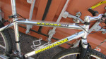Pro Team Mongoose Rockadile SX