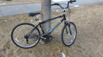 DiamondBack Wildwood CM