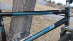 DiamondBack Wildwood CM